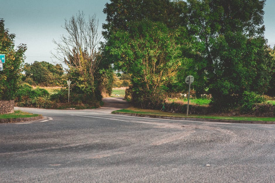 Warmly lit scene from a reflective community gathering